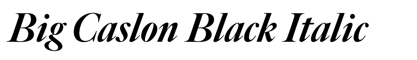 Big Caslon Black Italic